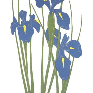 EN719 Dutch Iris Notecard Temporarily Out of Stock