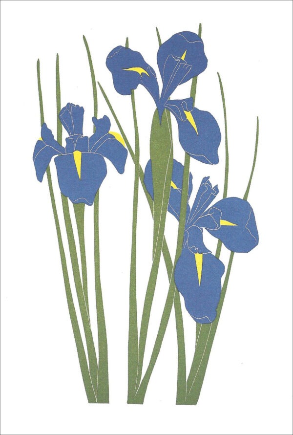 EN719 Dutch Iris Notecard Temporarily Out of Stock
