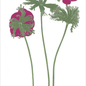 EN721 Anemone Notecard