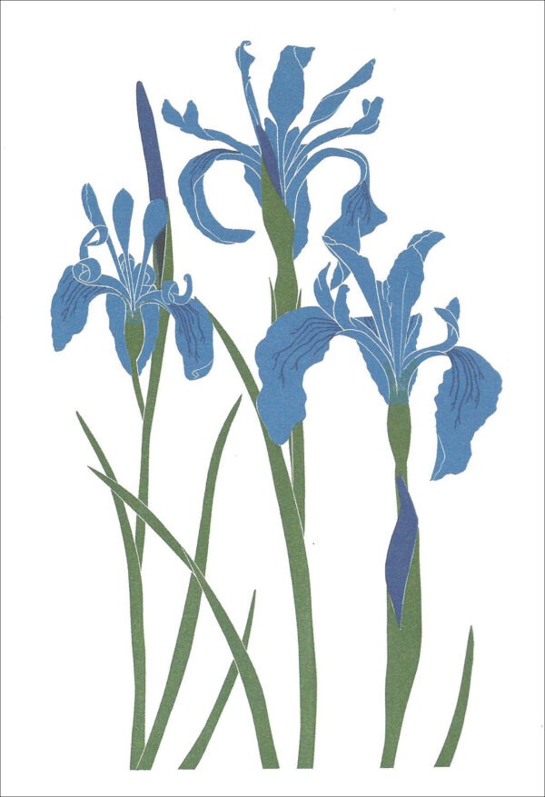 EN722 Iris Munzi Notecard