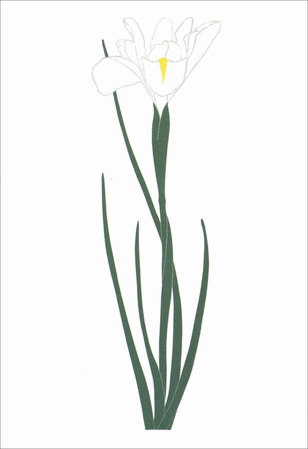 EN724 Iris Hybrid Notecard Temporarily Out of Stock