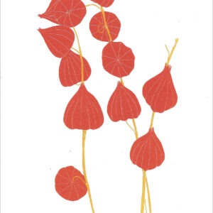 EN725 Chinese Lantern Notecard