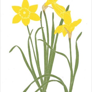 EN727 Yellow Daffodils Notecard