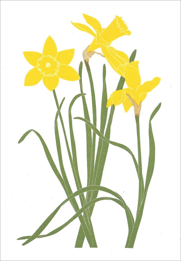 EN727 Yellow Daffodils Notecard