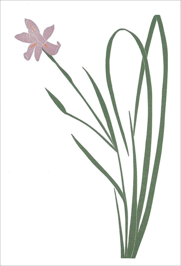 EN729 Iris-Nepalensis Notecard