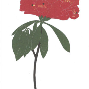 EN730 Rhododendron Notecard Temporarily Out of Stock