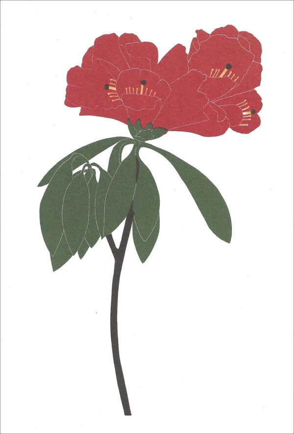 EN730 Rhododendron Notecard Temporarily Out of Stock