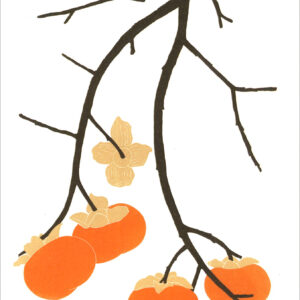 EN731 Persimmon Notecard