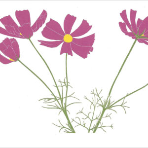 EN733 Cosmos Notecard