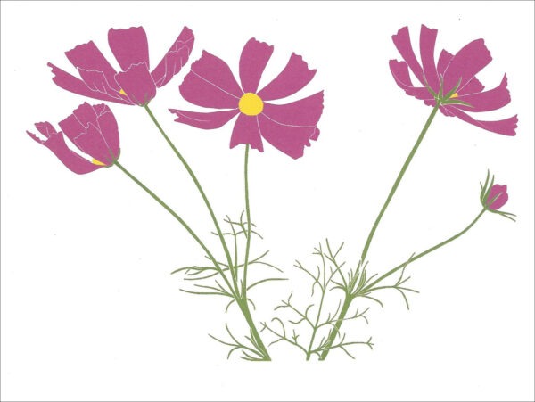 EN733 Cosmos Notecard