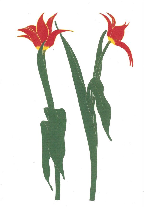 EN736 Turkish Tulips Notecard