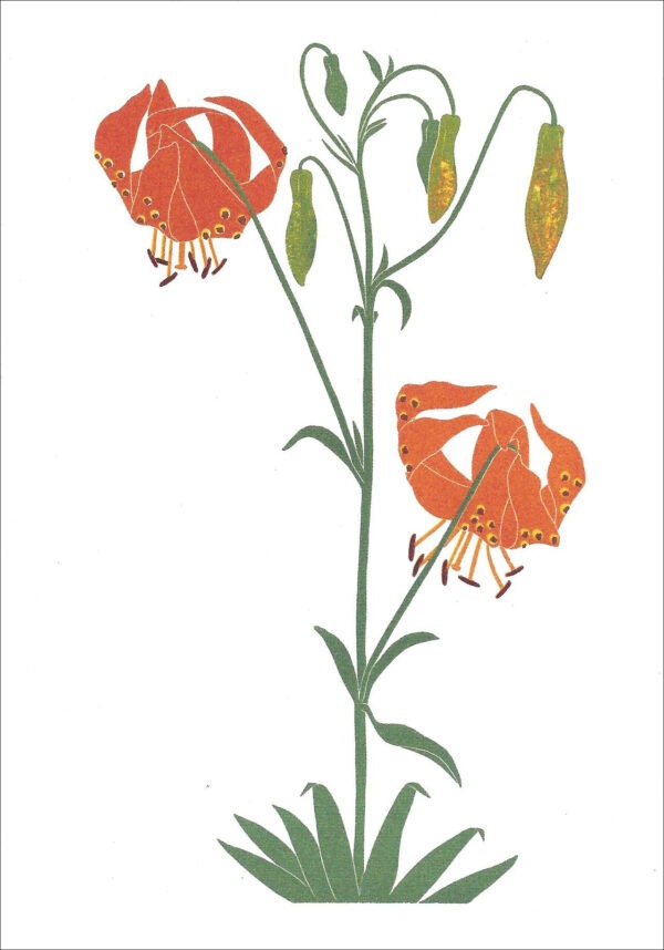 EN742 Lily Notecard