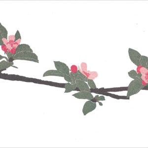 EN744 Apple Blossoms Notecard