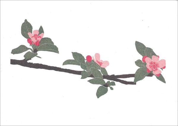 EN744 Apple Blossoms Notecard