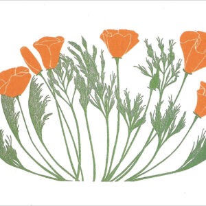 EN750 California Poppies Notecard