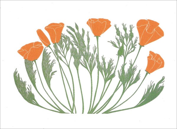 EN750 California Poppies Notecard