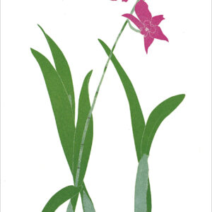 EB757 Orchid Notecard