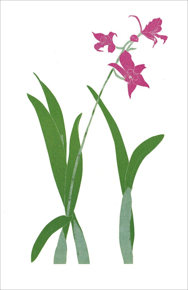EB757 Orchid Notecard