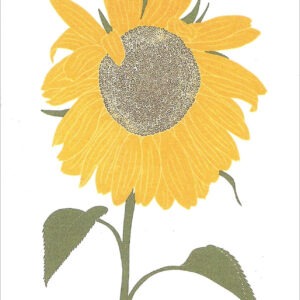 EN758 Sunflower Notecard