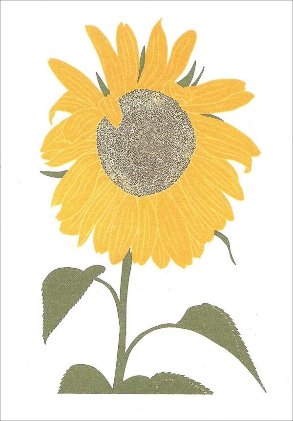 EN758 Sunflower Notecard