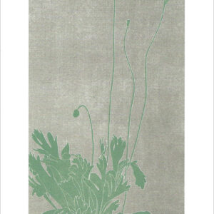 EB760 Iceland Poppy Notecard