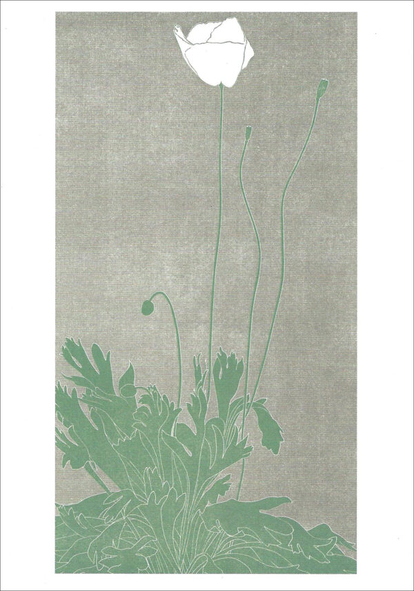 EB760 Iceland Poppy Notecard