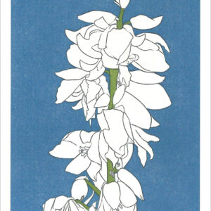 EN761 Yucca Notecard