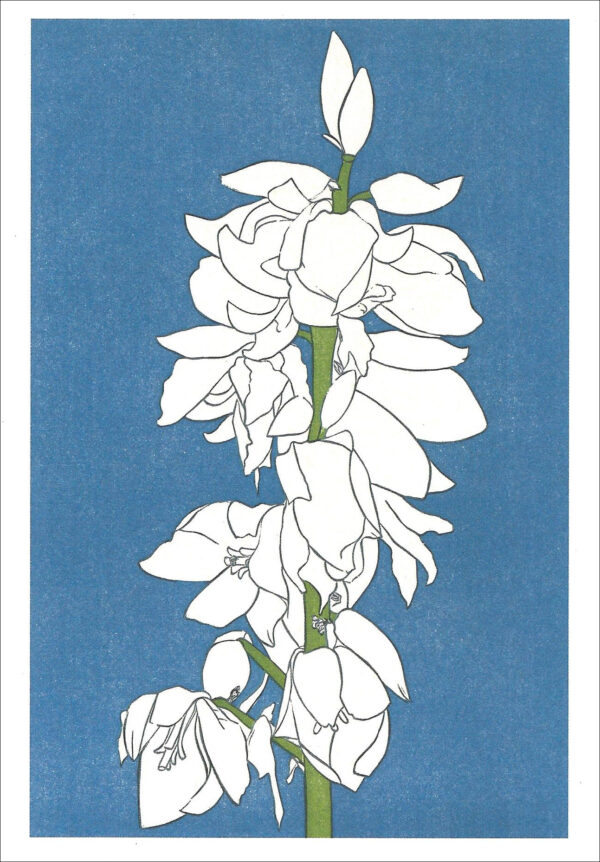 EN761 Yucca Notecard