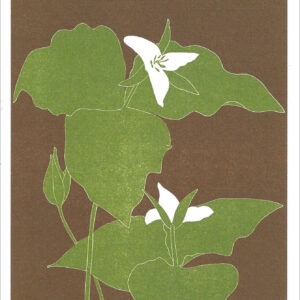 EN762 Trillium Notecard