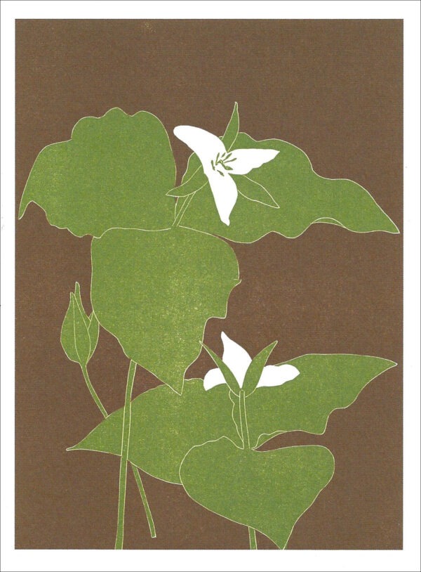 EN762 Trillium Notecard