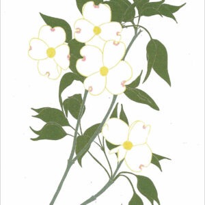 EN763 Dogwood Notecard
