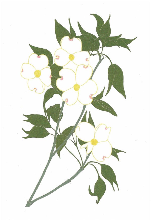 EN763 Dogwood Notecard