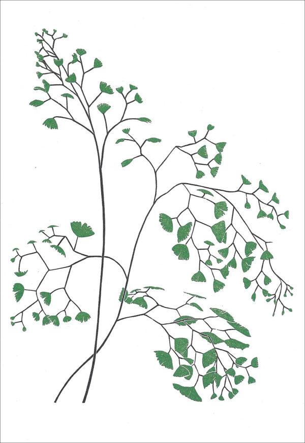 EN767 Maidenhair Fern Notecard