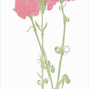 EN768 Carnations Notecard