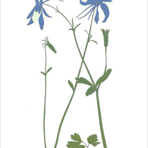 EN773 Columbine Notecard