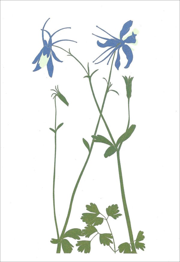 EN773 Columbine Notecard