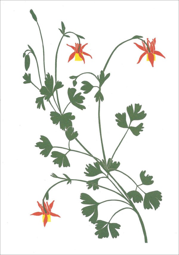EN776 Columbine Notecard