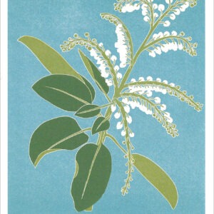 EN777 Madrone Notecard