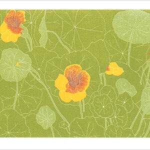 EN784 Nasturtiums Notecards