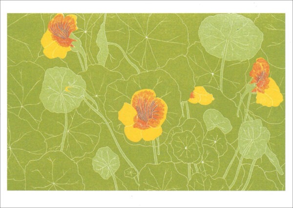 EN784 Nasturtiums Notecards