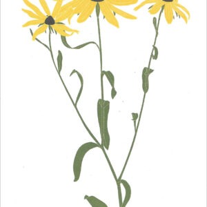 EN 787 Black-Eyed Susan Notecard