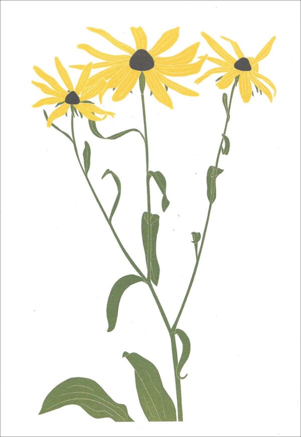 EN 787 Black-Eyed Susan Notecard