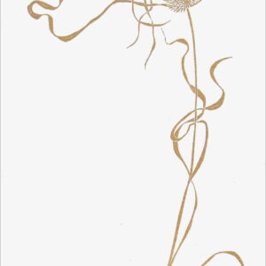EN791 Dried Sedge Notecard