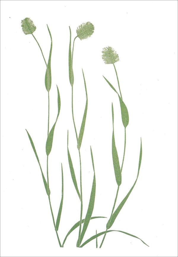 EN 793 Wild Grass Notecard