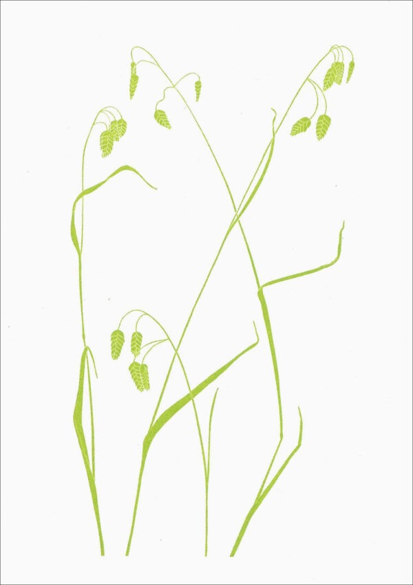 EN794 Rattlesnake Grass Notecard