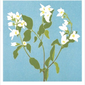 EN796 Mock Orange Notecard