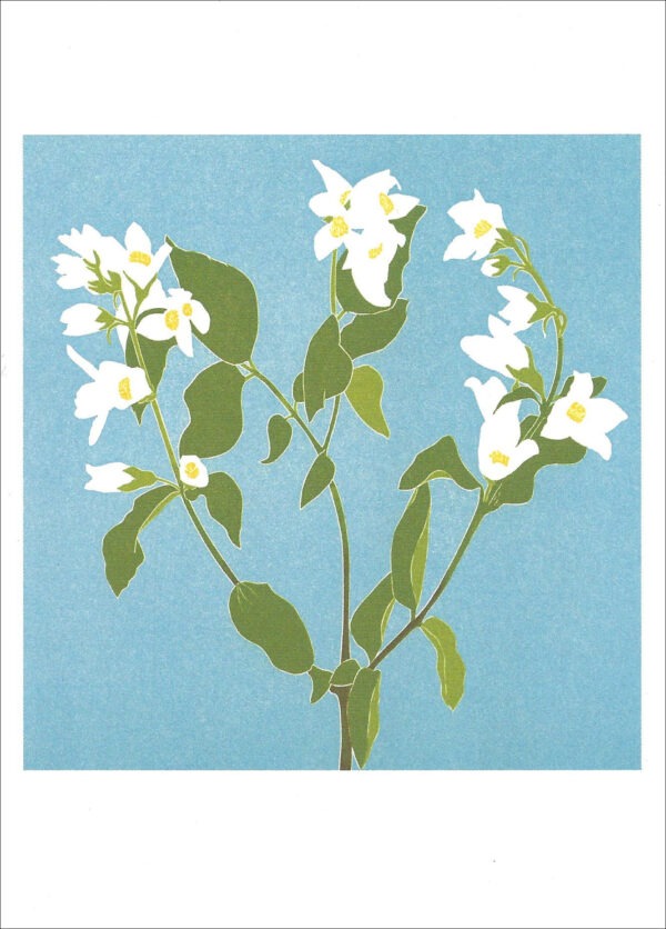 EN796 Mock Orange Notecard