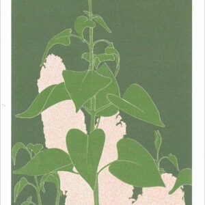 EN797 Lilac Notecard