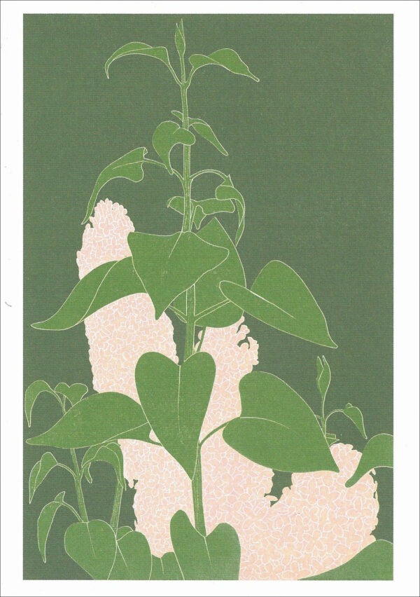 EN797 Lilac Notecard