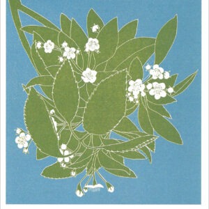 EN799 Hawthorn Notecard